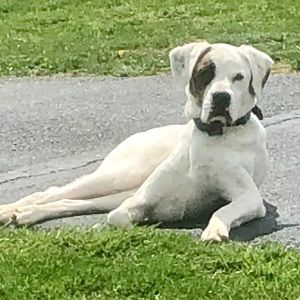 Meet your Posher, Beth